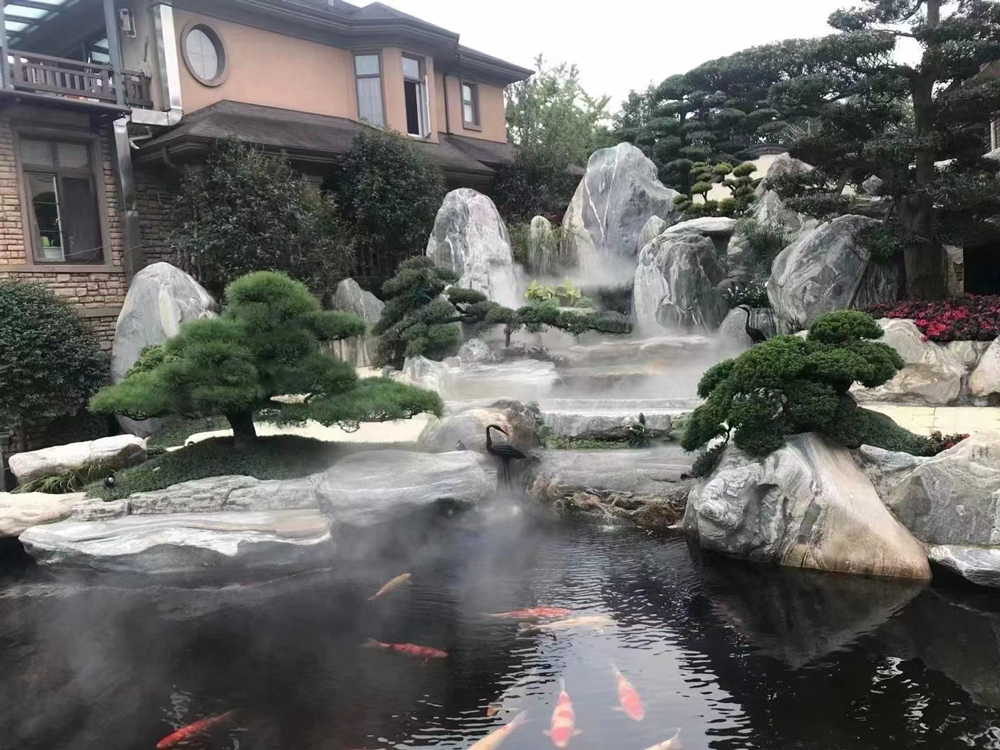 新优地被植物品种推广:'金叶过路黄'在园林施工中的应用案例